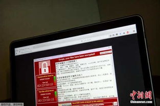 专业黑客联系追款网站的正确使用姿势与避坑指南
